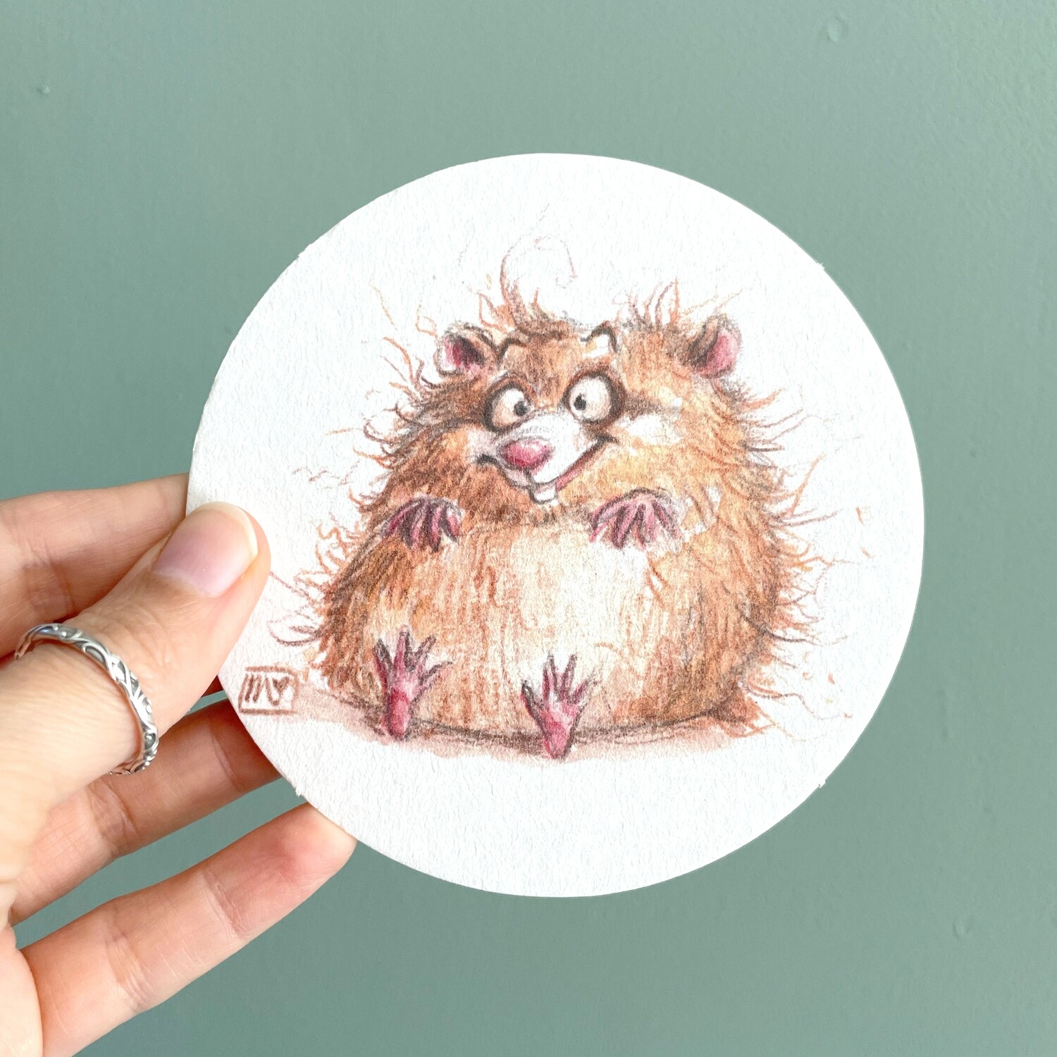 Bierdeckel Crazy Hamster - 6er Set