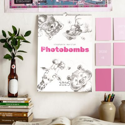 Photobombs Wandkalender 2025 - DIN A4