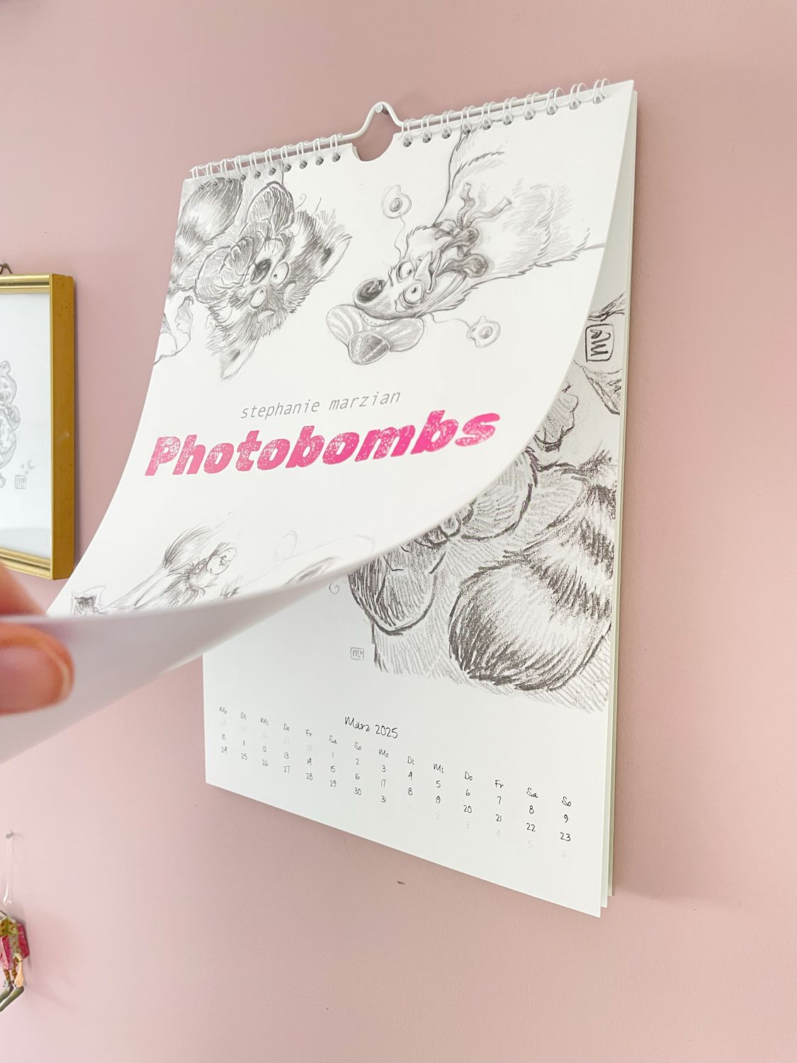 Photobombs Wandkalender 2025 - DIN A4