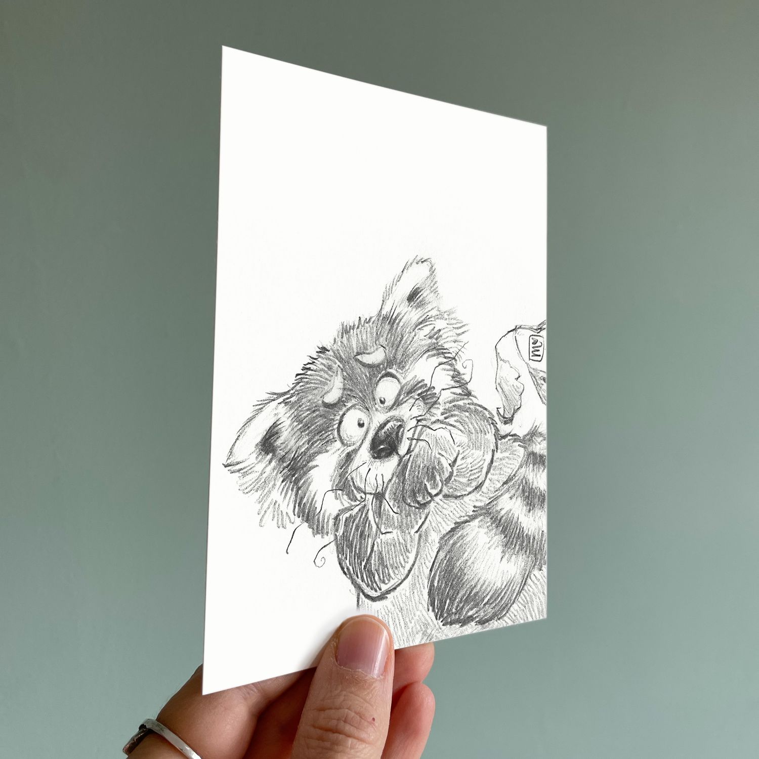 Postkarte Roter Panda - Kunstdruck