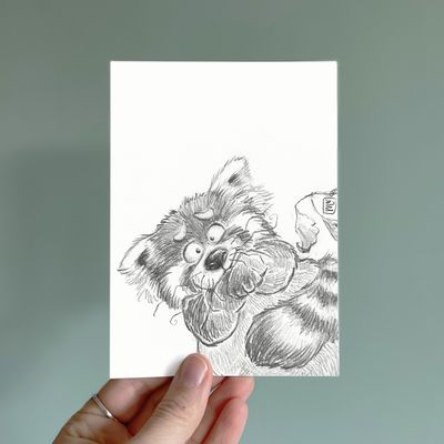 Postkarte Roter Panda - Kunstdruck