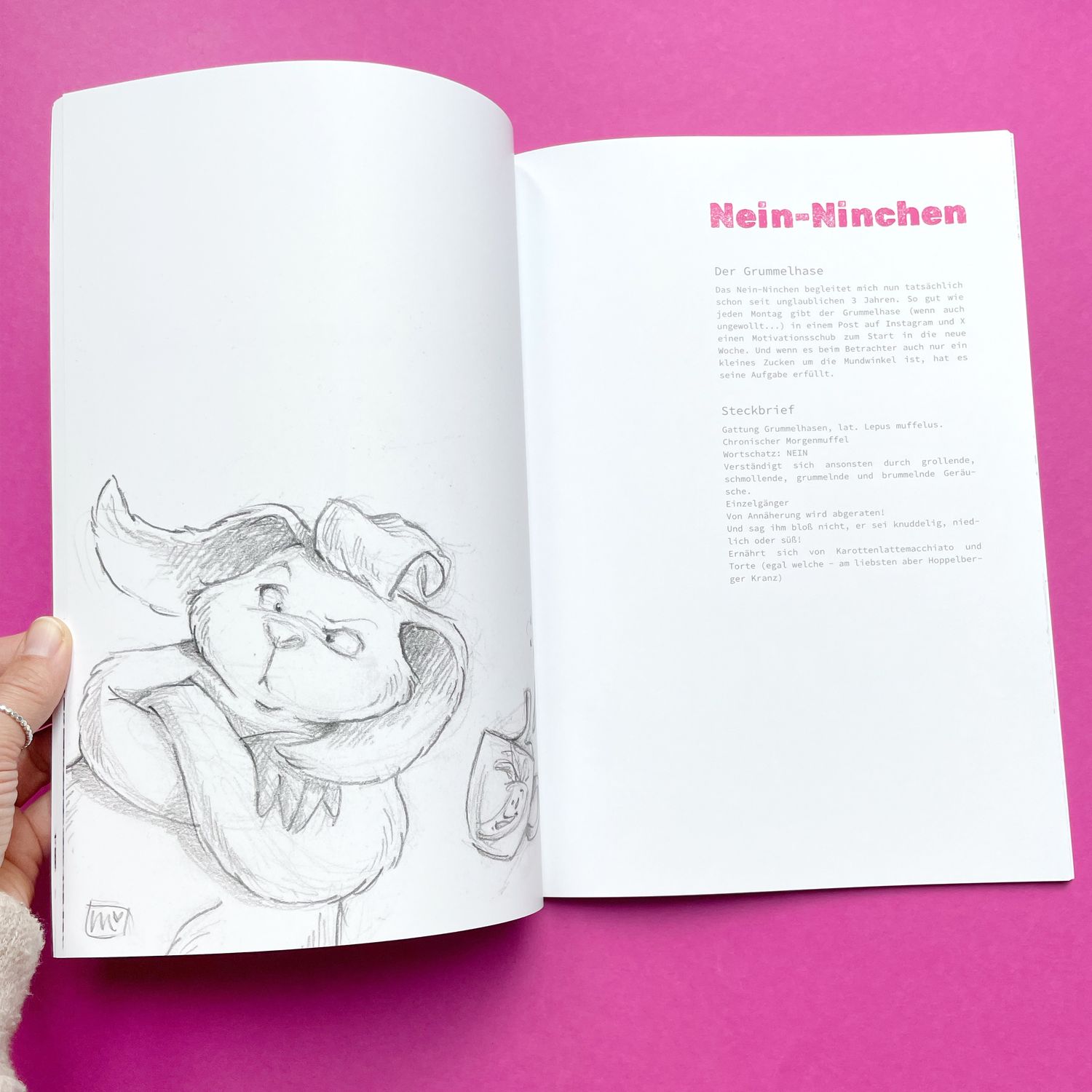 Buch &quot;PHOTOBOMBS&quot; - Softcover mit 48 Seiten DIN A4, HANDSIGNIERT