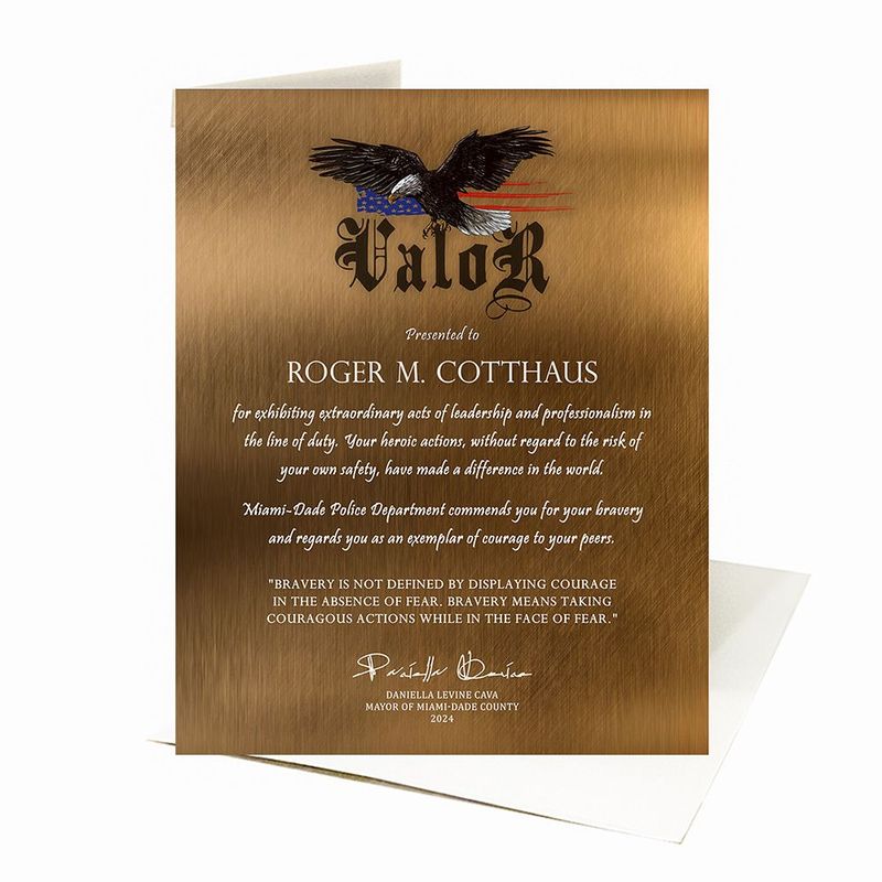 Bronze Award of Valor for Bravery Recognition Card Gift for Police C-2129
