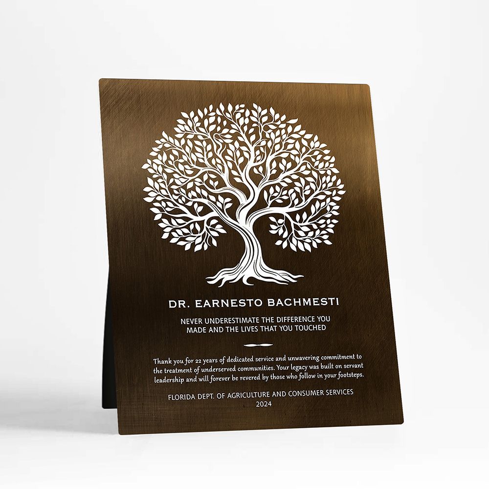 Bronze Never Underestimate the Difference You Made Retirement Desktop Plaque Gift for Employee D-2144