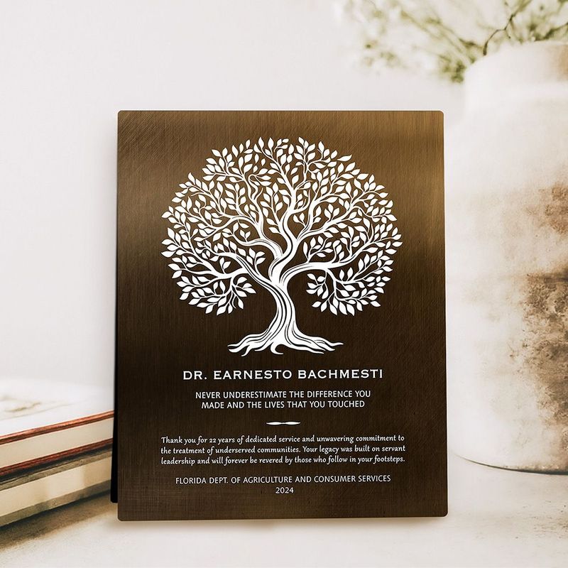 Bronze Never Underestimate the Difference You Made Retirement Desktop Plaque Gift for Employee D-2144