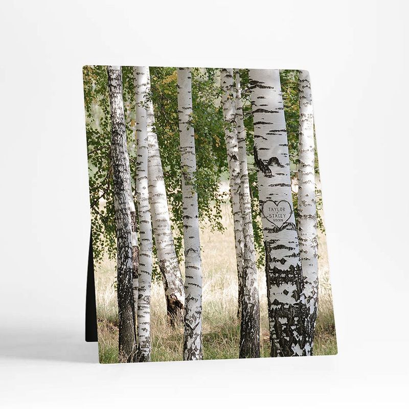 #1 Best Seller - Birch Forest Names in Tree Anniversary Desktop Plaque Gift for Couple D-2175