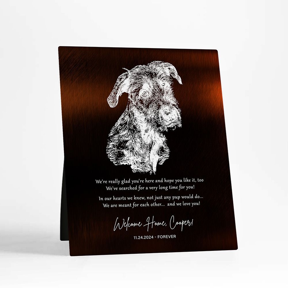 Gold New Pet Adoption Etched Photo Pet Anniversary Desktop Plaque Gift for Family D-2137