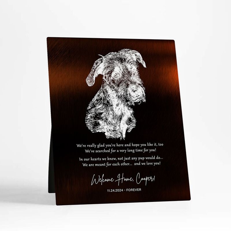 Gold New Pet Adoption Etched Photo Pet Anniversary Desktop Plaque Gift for Family D-2137