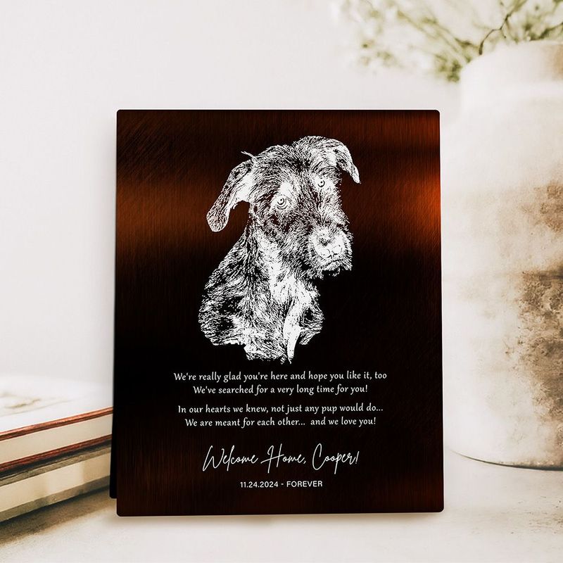Gold New Pet Adoption Etched Photo Pet Anniversary Desktop Plaque Gift for Family D-2137