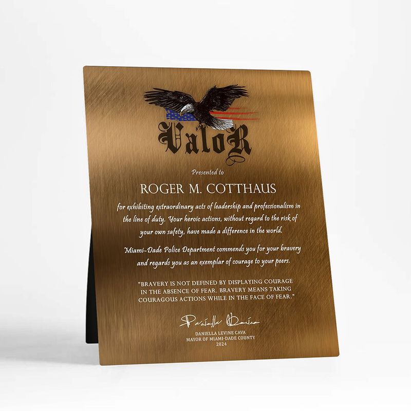 Bronze Award of Valor for Bravery Recognition Desktop Plaque Gift for Police D-2129