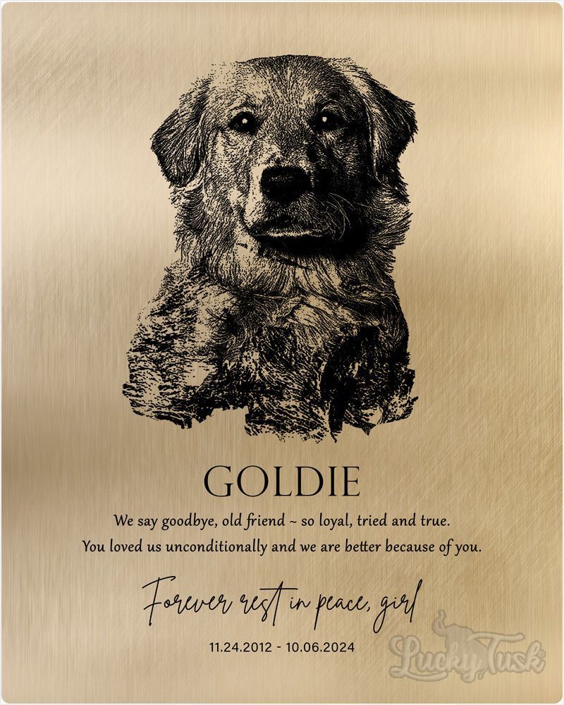 Black Gold Loss of Dog Memorial with Etched Photo Memorial Wall Plaque Gift for Family LTC-2138