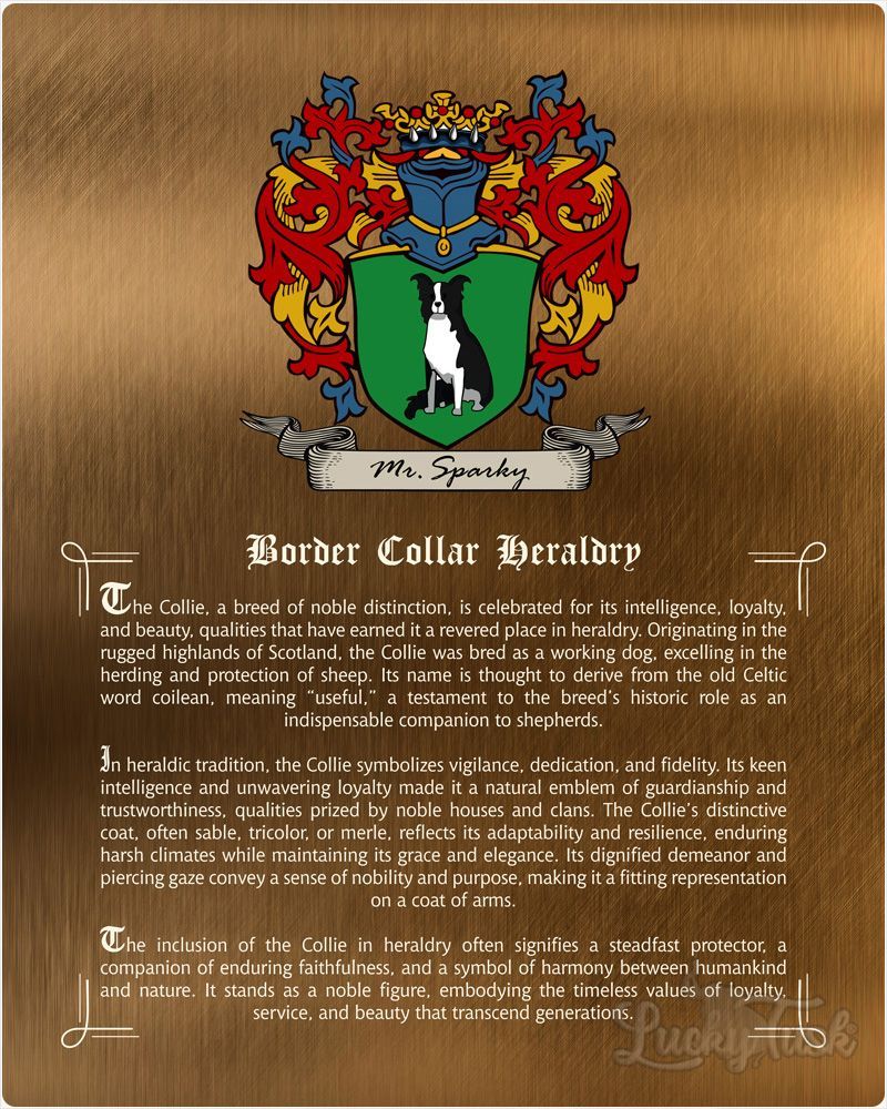 Multicolor Bronze Pet Coat of Arms History of Breed Pet Anniversary Wall Plaque Gift for Family LTC-2134