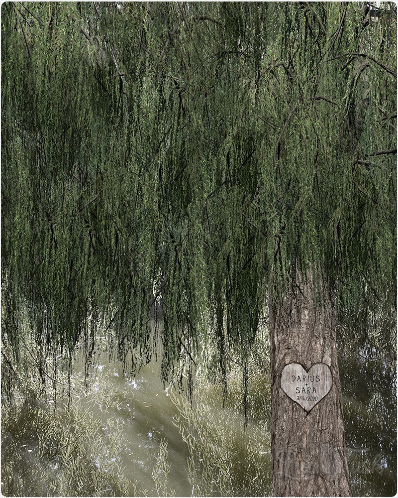 Green Large Green Willow Names in Tree Anniversary Wall Plaque Gift for Couple LTC-2173