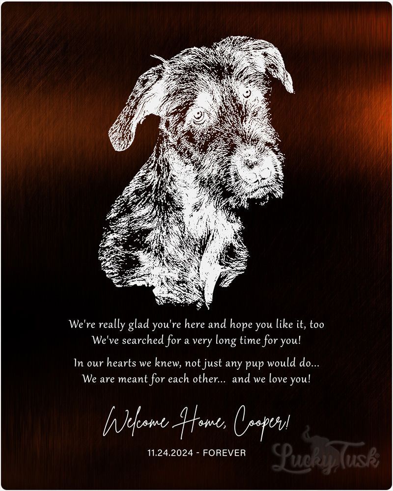 White Gold New Pet Adoption Etched Photo Pet Anniversary Wall Plaque Gift for Family LTC-2137