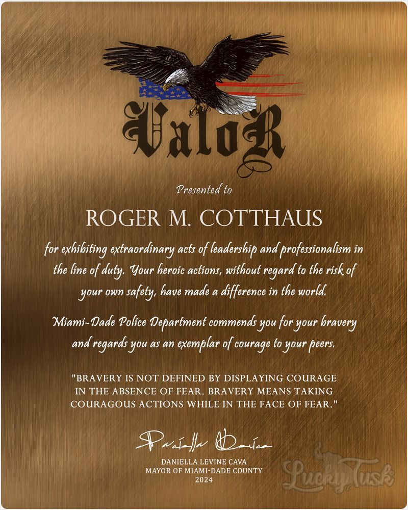 Multicolor Bronze Award of Valor for Bravery Recognition Wall Plaque Gift for Police LTC-2129