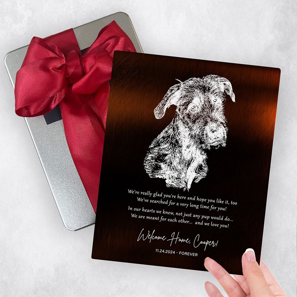 Gold New Pet Adoption Etched Photo Pet Anniversary Gift Delivery Box Gift for Family TOY-2137
