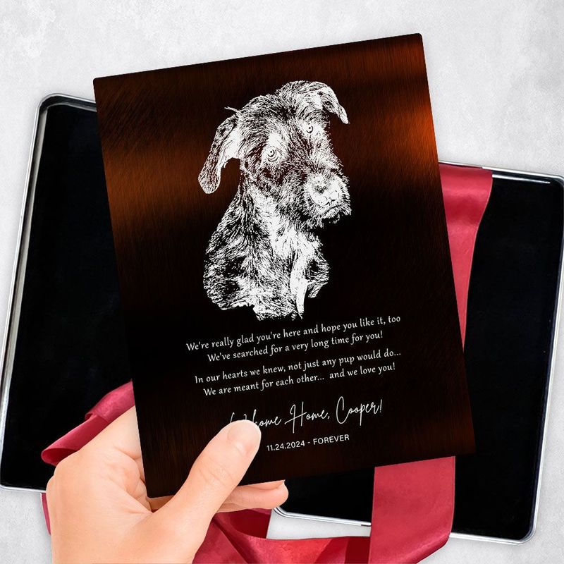 Gold New Pet Adoption Etched Photo Pet Anniversary Gift Delivery Box Gift for Family TOY-2137