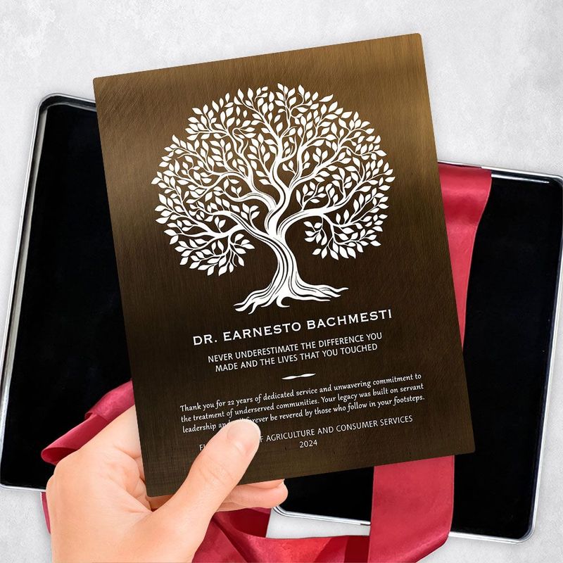 Bronze Never Underestimate the Difference You Made Retirement Gift Delivery Box Gift for Employee TOY-2144
