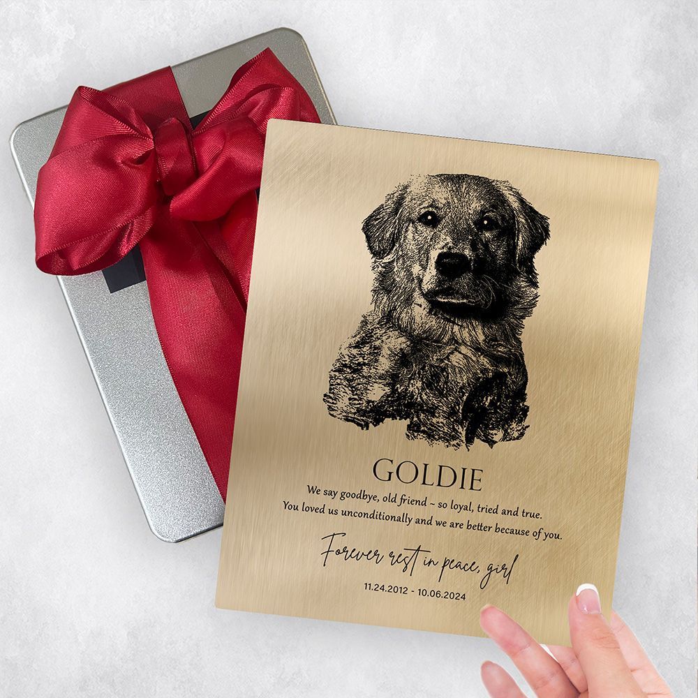 Gold Loss of Dog Memorial with Etched Photo Memorial Gift Delivery Box Gift for Family TOY-2138