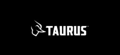 Taurus Holsters