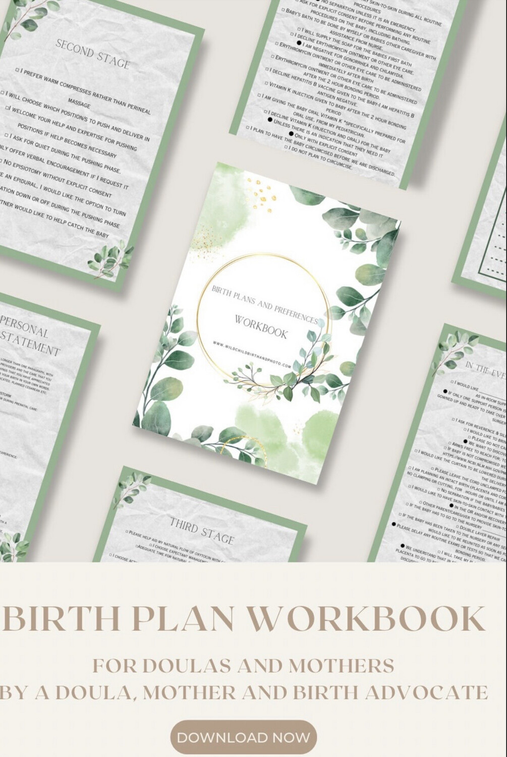 Birth Decisions And Preferences Workbook