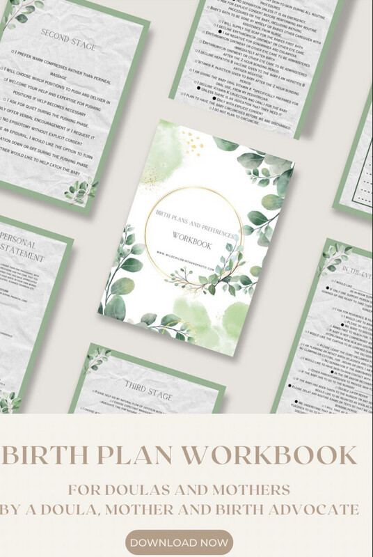 Birth Decisions And Preferences Workbook