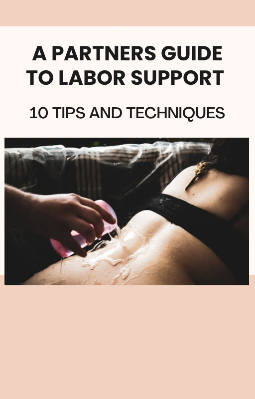 Labor Support Guide PDF