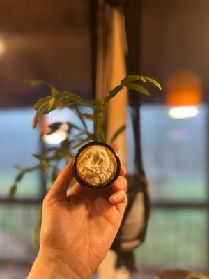 Calendula Infused Whipped Tallow Moisturizer -