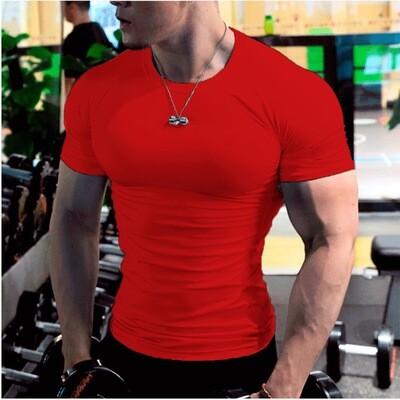 Elastic Tights Short-sleeved Sweat-absorbent Training T-shirt Running Fitness Top