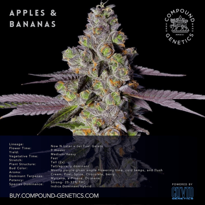 Apples &amp; Bananas  Compound Cut