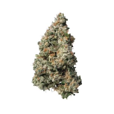 Black Maple #22 (Bloom/Boston Roots Cut)