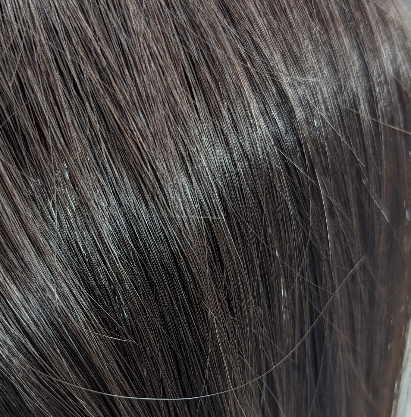 #4 55-59cm 50 grammes