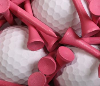Predator Ridge Women&#39;s League (PRWL) Wind Up Event 2025