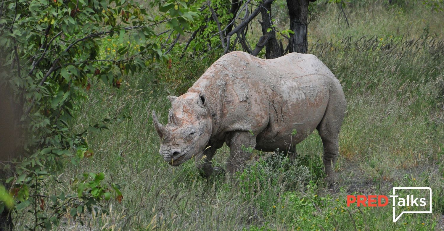 February PREDTalk - Environmental Mysteries