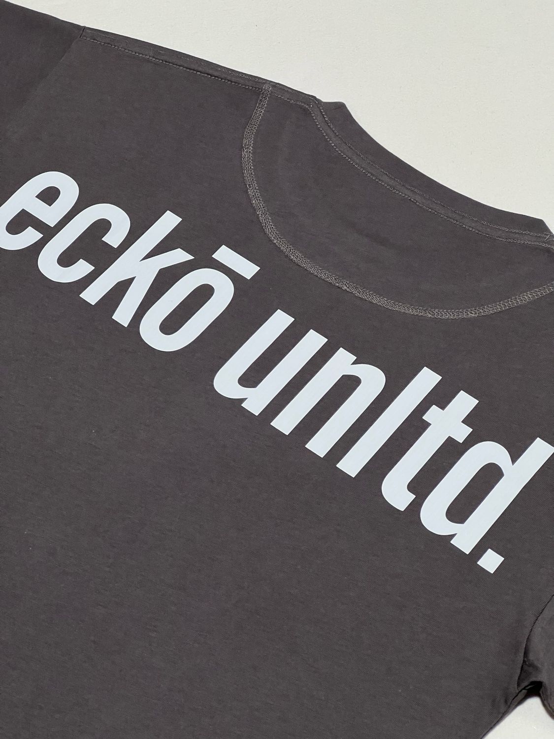 OVERSIZE - eckounltd - gris | M L