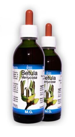 BETULA VERRUCOSA 50ML MG