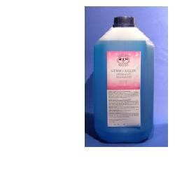 OVER LINE GERMOKILLER 1LT