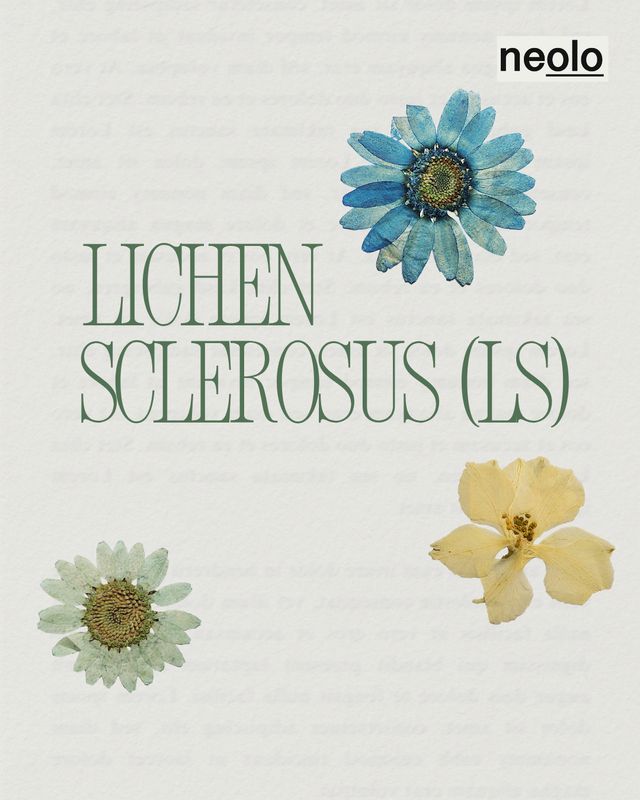 Lichen Sclerosus, Vulvodynie, Menstruationsbeschwerden, Geburtsvorbereitung (Damm-Massage)