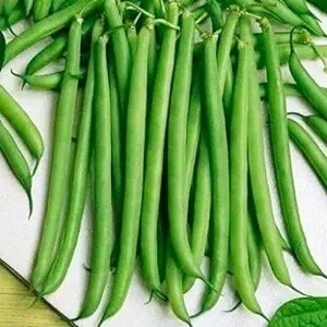 Blue Lake Bush Beans 1/4 lb