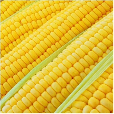 Bodacious Sweet Corn 1/4 lb