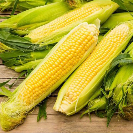 Iochief Sweet Corn 1/4 lb