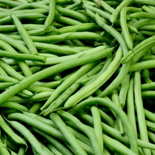 Stringless Green Pod Bush Beans 1/4 lb