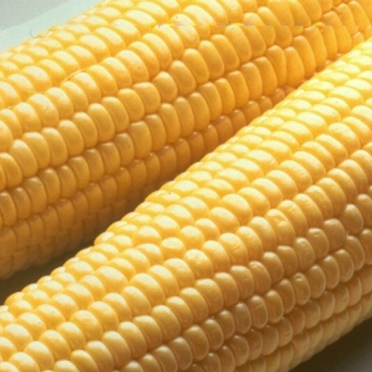 Honey Select Sweet Corn 1/4 lb