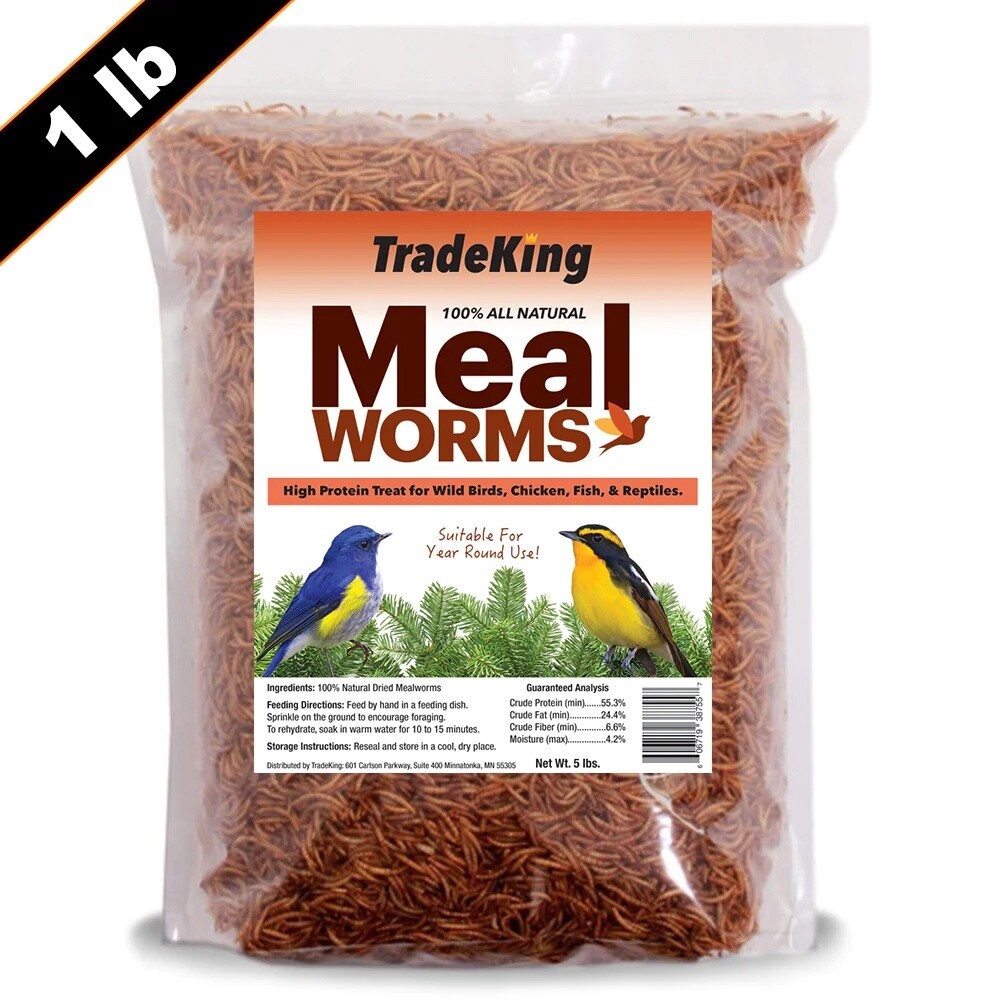 TradeKing Dried Mealworms 1 lb