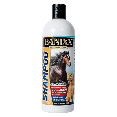 Banixx Medicated Pet Shampoo 16 oz