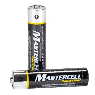 Two Mastercell Industrial AAA alkaline batteries, one upright and one horizontal