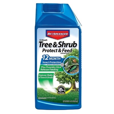 BioAdvanced Tree and Shrub Protect and Feed Concentrate 32 oz