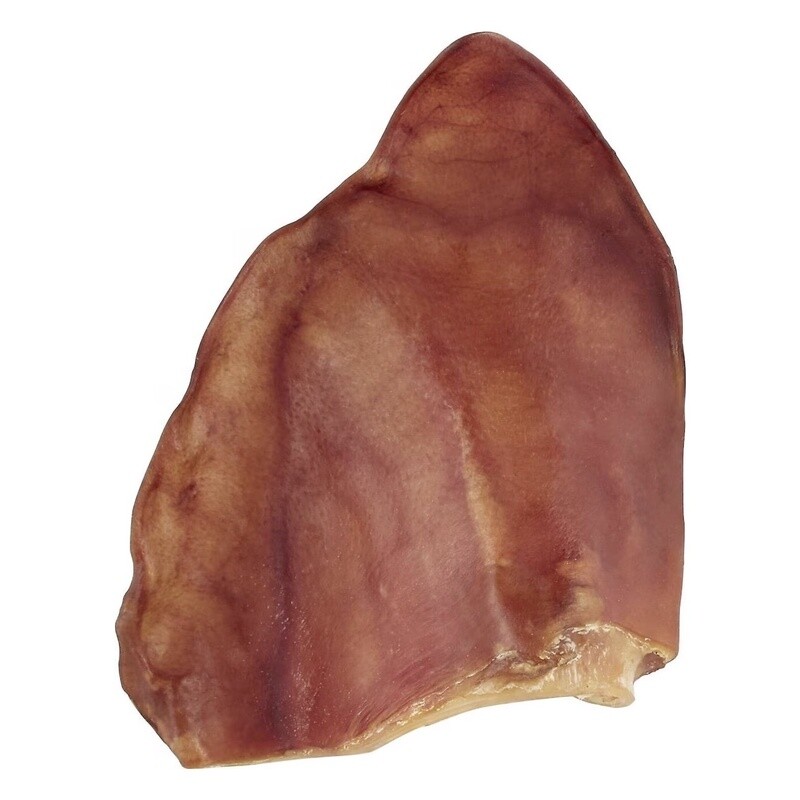 Pig Ear