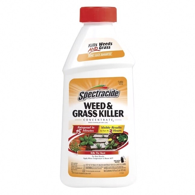 Spectracide Weed and Grass Killer Concentrate 16 oz