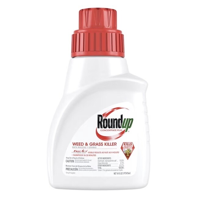 Roundup Plus Weed and Grass Killer Concentrate 16 oz